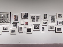 Installation photo, 8 of 25