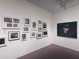 Installation photo, 9 of 25