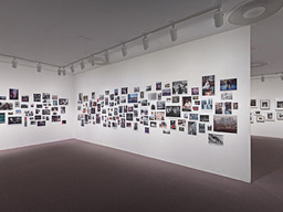 Installation photo, 11 of 25