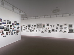 Installation photo, 14 of 25