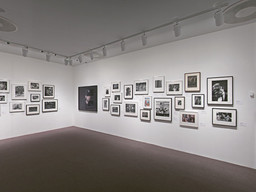 Installation photo, 15 of 25