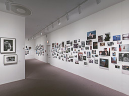 Installation photo, 16 of 25