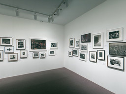 Installation photo, 22 of 25