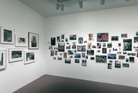 Life of the City. Feb 28–May 21, 2002. 1 other work identified