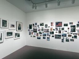 Installation photo, 24 of 25