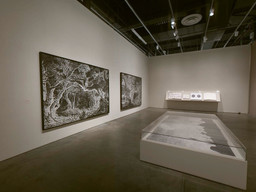 Installation photo, 16 of 103