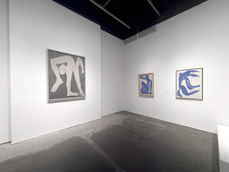 Installation photo, 80 of 89