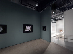Installation photo, 5 of 6