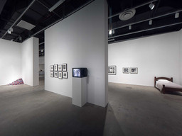 Installation photo, 36 of 53