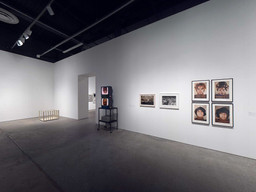 Installation photo, 38 of 53