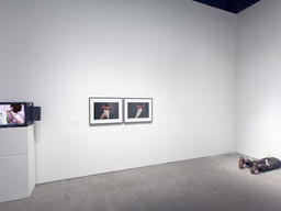 Installation photo, 44 of 53