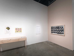 Installation photo, 7 of 60