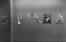 Installation photo, 16 of 18