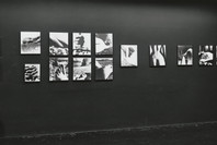 Diogenes with a Camera V. Sep 26–Nov 12, 1961. 1 other work identified