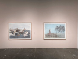 Installation photo, 57 of 60