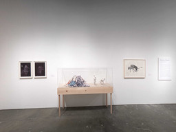 Installation photo, 58 of 60