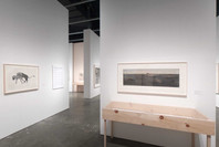 Kiki Smith: Prints, Books, and Things. Dec 5, 2003–Mar 4, 2004.