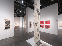 Installation photo, 14 of 60