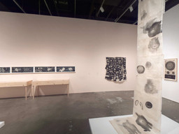 Installation photo, 17 of 60