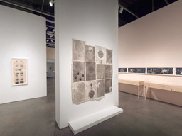 Installation photo, 18 of 60