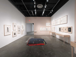 Installation photo, 43 of 60