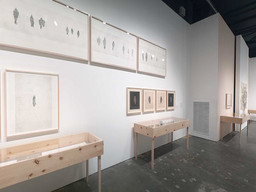 Installation photo, 49 of 60