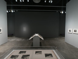 Installation photo, 39 of 64