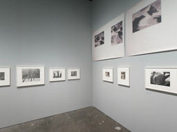 Installation photo, 41 of 64