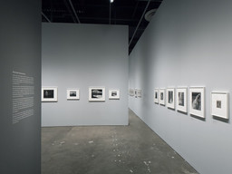Installation photo, 58 of 64