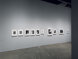 Installation photo, 60 of 64
