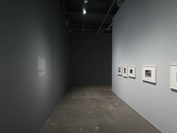 Installation photo, 10 of 64