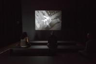 BRUCE CONNER: IT’S ALL TRUE. Jul 3–Oct 2, 2016.
