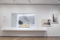Conceptions of Space: Recent Acquisitions in Contemporary Architecture. Jul 4–Oct 19, 2014. 2 other works identified