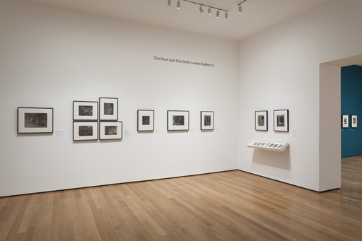 Martin Munkacsi. Untitled. 1925–28 | MoMA