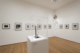Modern Photographs from the Thomas Walther Collection, 1909–1949. Dec 13, 2014–Apr 19, 2015. 11 other works identified