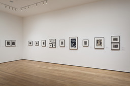 Modern Photographs from the Thomas Walther Collection, 1909–1949. Dec 13, 2014–Apr 19, 2015. 12 other works identified