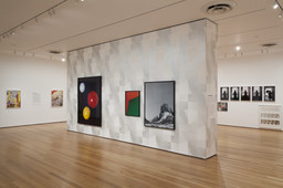 Installation photo, 11 of 14