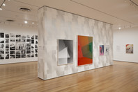 New Photography 2012: Michele Abeles, Birdhead, Anne Collier, Zoe Crosher, Shirana Shahbazi. Oct 3, 2012–Feb 4, 2013.