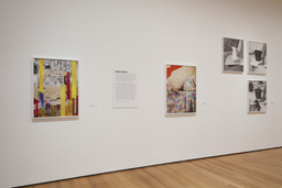 Installation photo, 4 of 14