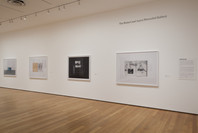 New Photography 2012: Michele Abeles, Birdhead, Anne Collier, Zoe Crosher, Shirana Shahbazi. Oct 3, 2012–Feb 4, 2013.