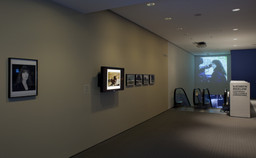 Installation photo, 8 of 24