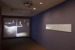 Installation photo, 12 of 24