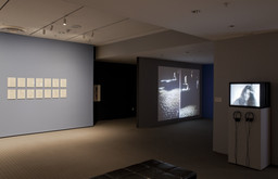 Installation photo, 14 of 24