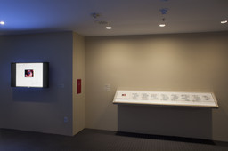 Installation photo, 15 of 24
