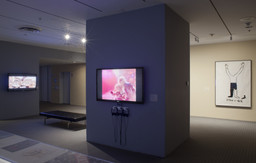 Installation photo, 21 of 24