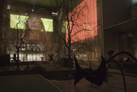 Doug Aitken: sleepwalkers. Jan 16–Feb 12, 2007.