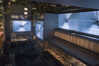 Doug Aitken: sleepwalkers. Jan 16–Feb 12, 2007.