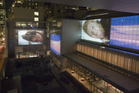Doug Aitken: sleepwalkers. Jan 16–Feb 12, 2007.