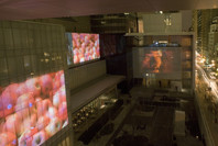 Doug Aitken: sleepwalkers. Jan 16–Feb 12, 2007.