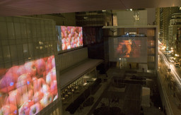 Installation photo, 2 of 49